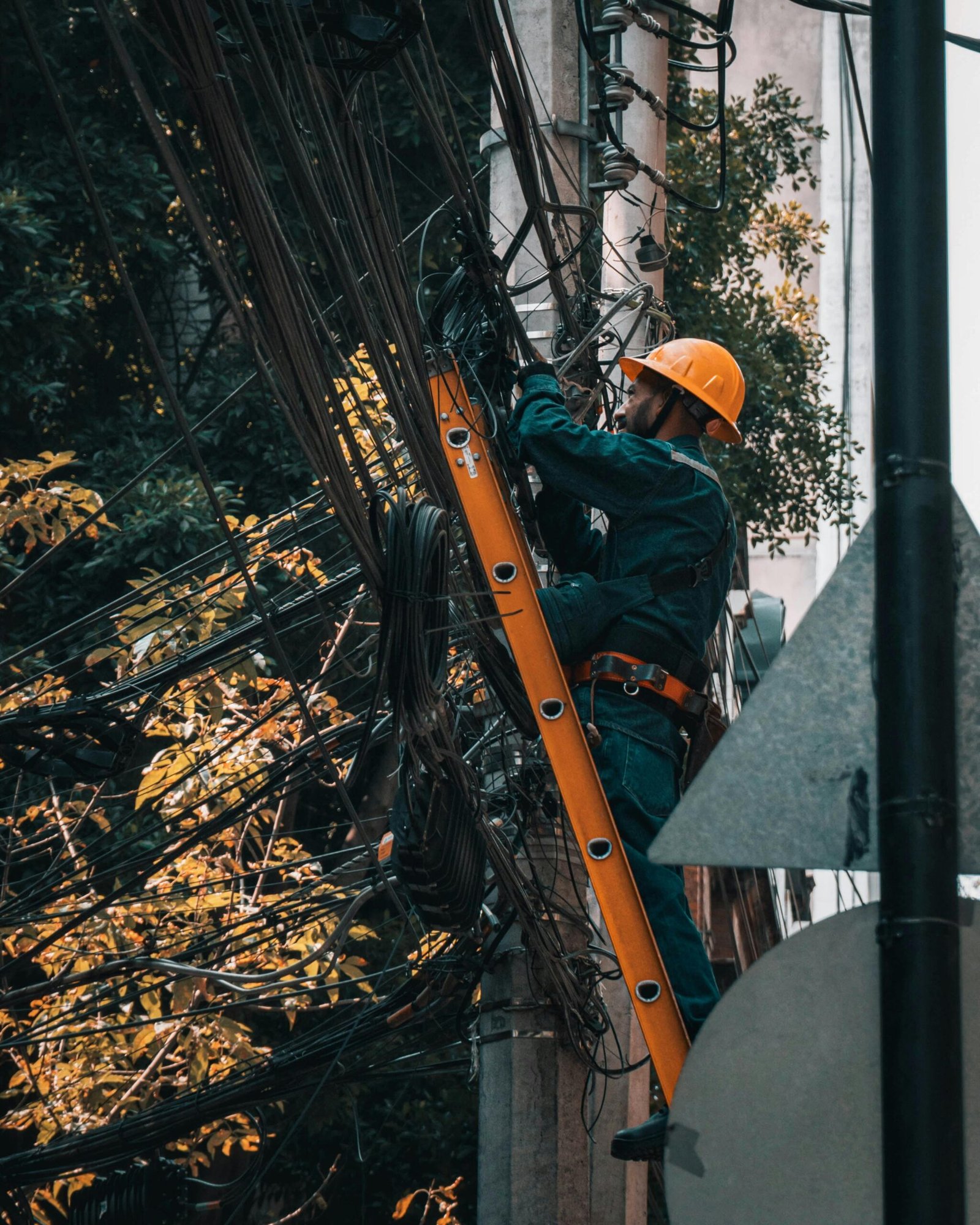 pexels rolanddrz 16880204